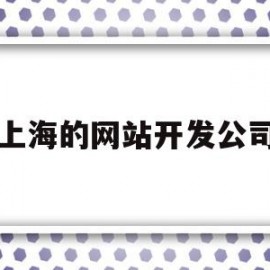 上海的网站开发公司(上海的网站开发公司怎么样)