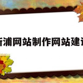 包含新浦网站制作网站建设的词条