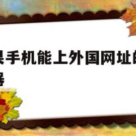 苹果手机能上外国网址的浏览器(苹果手机哪个浏览器可以上外国网站)