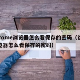 chrome浏览器怎么看保存的密码（谷歌浏览器怎么看保存的密码）