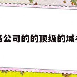 网络公司的的顶级的域名是的简单介绍