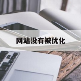 网站没有被优化(网站优化是啥意思)