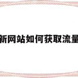 新网站如何获取流量(网站获得流量最好的方法)