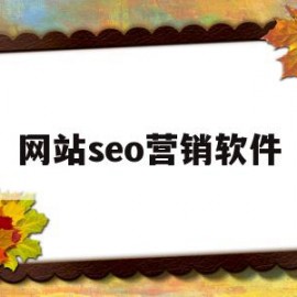 网站seo营销软件(网站seo营销软件有哪些)