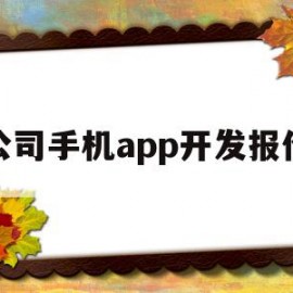 公司手机app开发报价(自己的公司开发一款app大概多少钱)