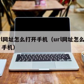 url网址怎么打开手机（url网址怎么打开 手机）