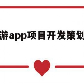 旅游app项目开发策划方案(开发旅游类app的目的和意义)