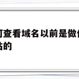 如何查看域名以前是做什么网站的(如何查看域名以前是做什么网站的软件)