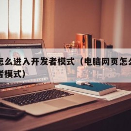 网页怎么进入开发者模式（电脑网页怎么进入开发者模式）