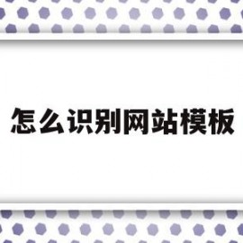 怎么识别网站模板(怎么识别网站模板图片)