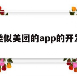 类似美团的app的开发(开发一个类似美团的小程序)