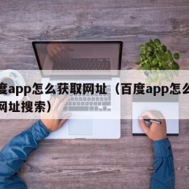 百度app怎么获取网址（百度app怎么输入网址搜索）