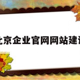 北京企业官网网站建设(北京市企业网上登记申请服务平台)