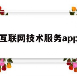 互联网技术服务app(互联网技术服务费会计分录)