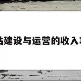 网站建设与运营的收入项目(网站建设与运营的收入项目分析)