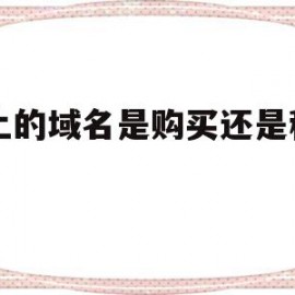 网上的域名是购买还是租用的(网上的域名是购买还是租用的呢)