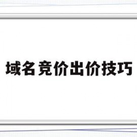 域名竞价出价技巧(百度竞价推广关键词出价技巧)