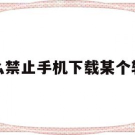 怎么禁止手机下载某个软件(怎么禁止手机下载某个软件的软件)