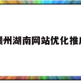 包含赣州湖南网站优化推广的词条