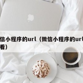 微信小程序的url（微信小程序的url怎么看）