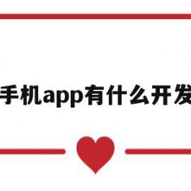 手机app有什么开发(手机app有什么开发软件)