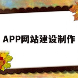 APP网站建设制作(app网站建设哪家好)