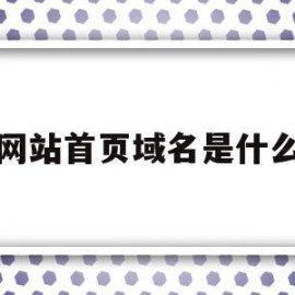 网站首页域名是什么(网站首页网址和网站域名是什么关系)