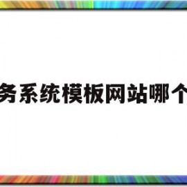 政务系统模板网站哪个好(政务网30系统从哪里进入)