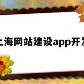 上海网站建设app开发(上海网站建设app开发招聘)