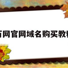 万网官网域名购买教程(万网官网域名购买教程下载)