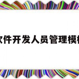 软件开发人员管理模板(软件开发人员管理模板怎么写)