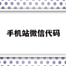 手机站微信代码(手机微信代码大全整人)