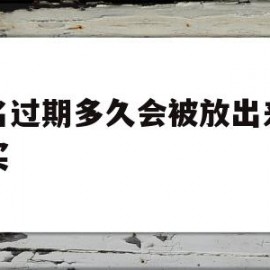 域名过期多久会被放出来供购买(域名过期后可以尝试采取哪种方式找回)