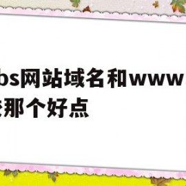 包含bbs网站域名和www比较那个好点的词条