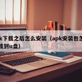 apk下载之后怎么安装（apk安装包怎么下载到u盘）