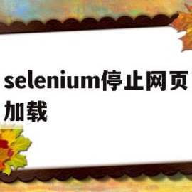 selenium停止网页加载(selenium暂停)