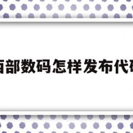 关于西部数码怎样发布代码的信息