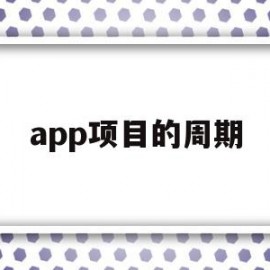 app项目的周期(一个app项目周期及人员数量)