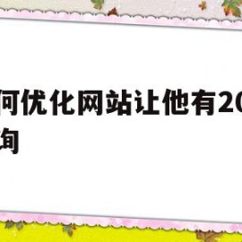 如何优化网站让他有20个咨询(优化网站要怎么去做)