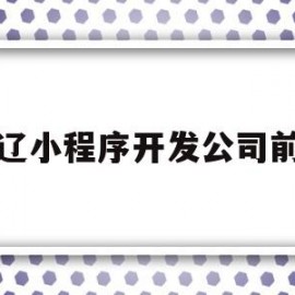 通辽小程序开发公司前十(全国前十名小程序开发公司)