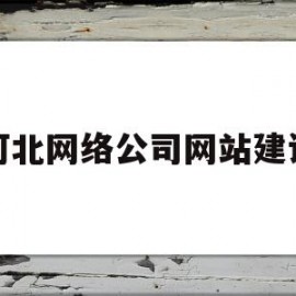 河北网络公司网站建设的简单介绍