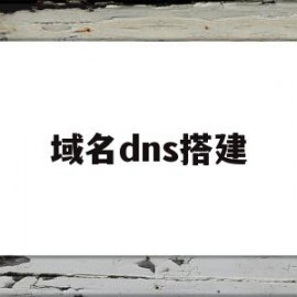 域名dns搭建(域名dnspod)