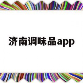 济南调味品app(济南调味品商贸有限公司)