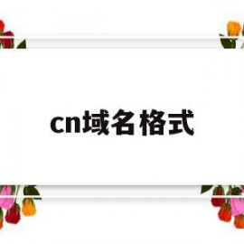 cn域名格式(域名cname)