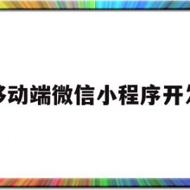 移动端微信小程序开发(微信小程序怎么移动到桌面上)