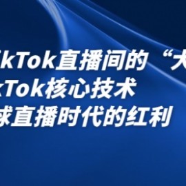 2022TikTok直播间的“大学问”掌握TikTok核心技术