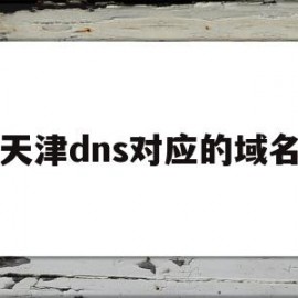 天津dns对应的域名(天津dns对应的域名有哪些)