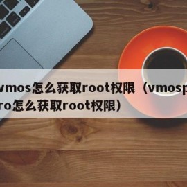 vmos怎么获取root权限（vmospro怎么获取root权限）