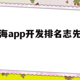 上海app开发排名志先科技(上海小程序开发找志先科技)