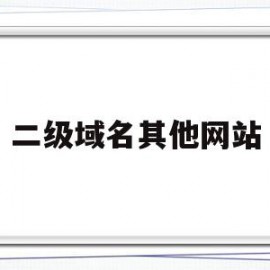 二级域名其他网站(网站二级域名怎么写)